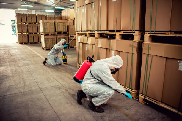 Best Emergency Pest Control  in Winsted, MN