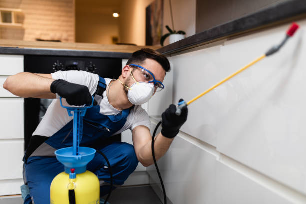 Best Insect Control  in Winsted, MN
