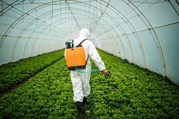 Best Pest Inspection Near Me  in Winsted, MN