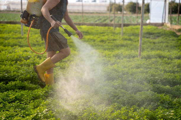 Best Mosquito Control Services  in Winsted, MN