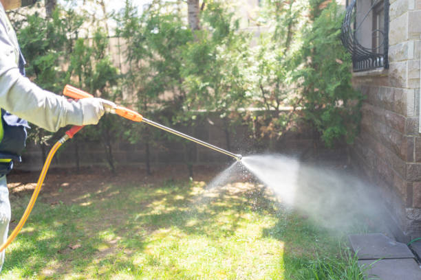 Spider Control Near Me in Winsted, MN